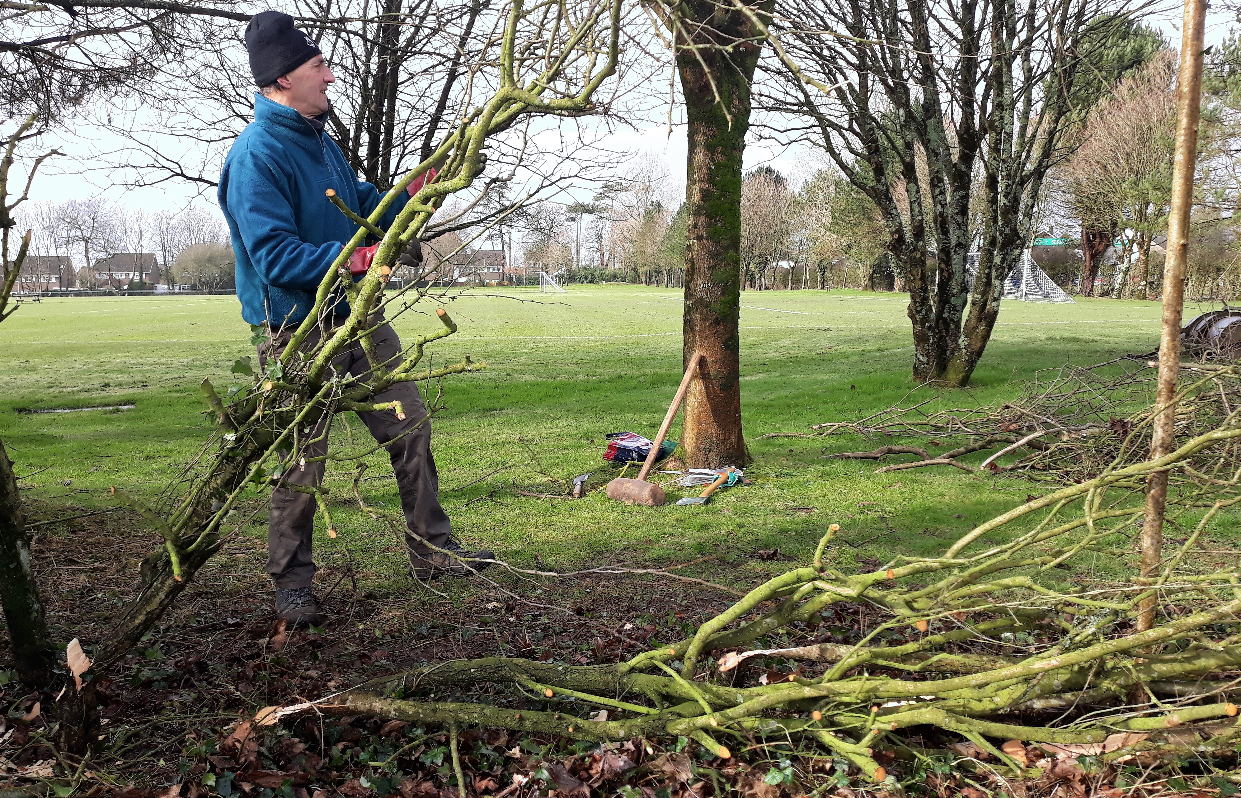 February Hedge laying Courses in Bishopston: How Did it Go?